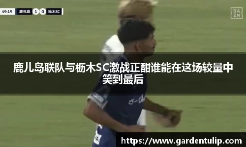 鹿儿岛联队与枥木SC激战正酣谁能在这场较量中笑到最后