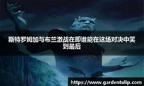 斯特罗姆加与布兰激战在即谁能在这场对决中笑到最后